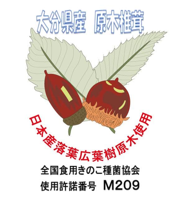 さくらさまご予約専用 大分県特産 生どんこ椎茸「秋子」