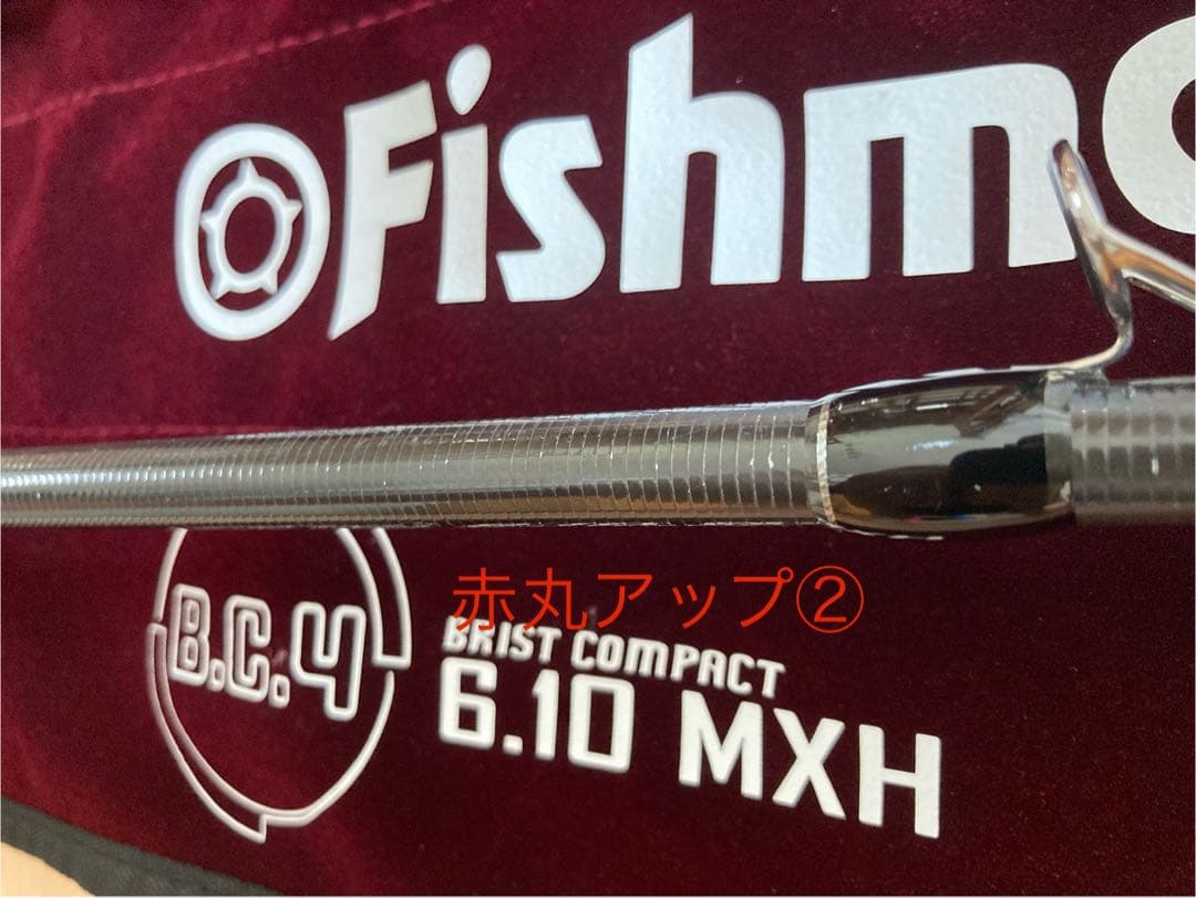 フィッシュマン BC4610MXH、ブランシエラ4.8UL、アルデバランセット