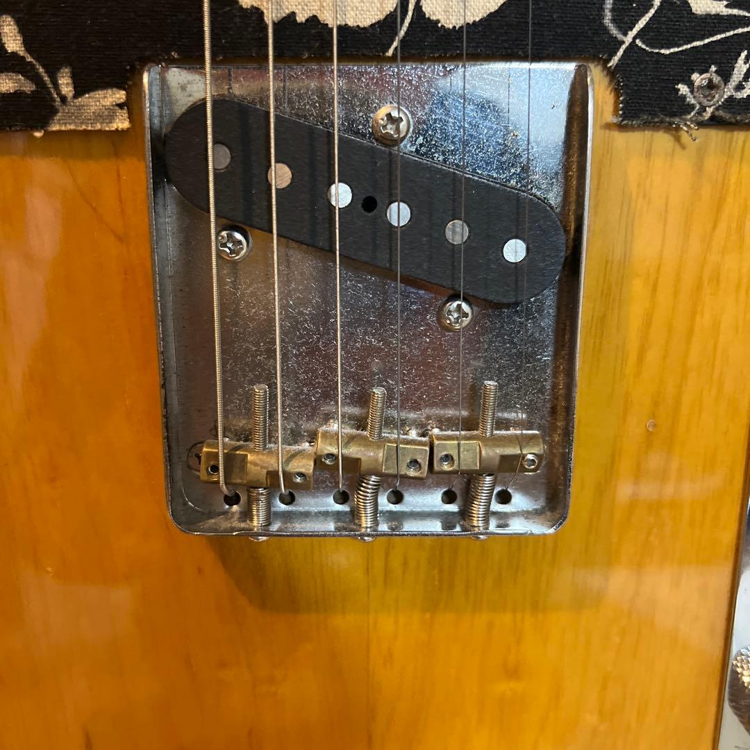 【専用】fujigen テレキャスタータイプ　timeless timber