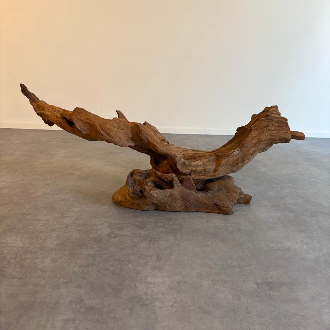 御神木　アート　インテリア　生花　オブジェ