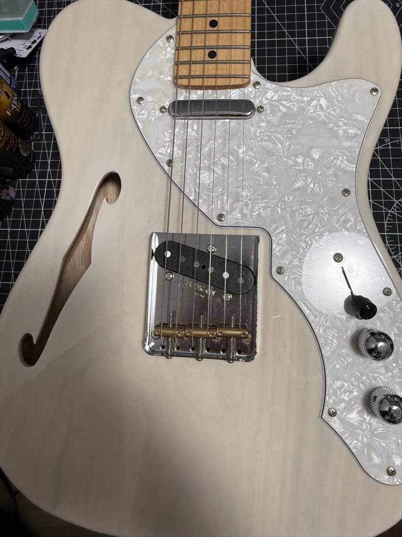 2025 Fujigen NTE100MAHT テレキャスターシンライン