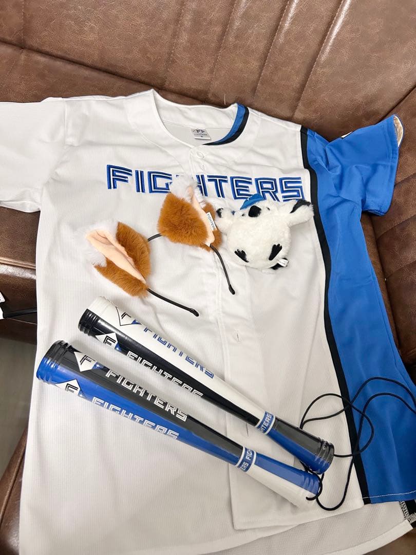 【1回のみ使用】ファイターズ 応援セット！【1月中限り定価15%off】