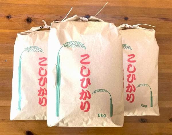 農家保有米 令和7年産 15キロ 玄米 コシヒカリ 15kg(5kg×3) 新米