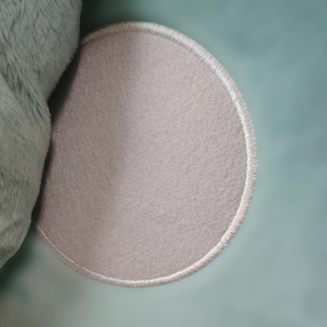 特大　ポッチャマ　ぬいぐるみ　とってもおっきいポッチャマ　ポケモン