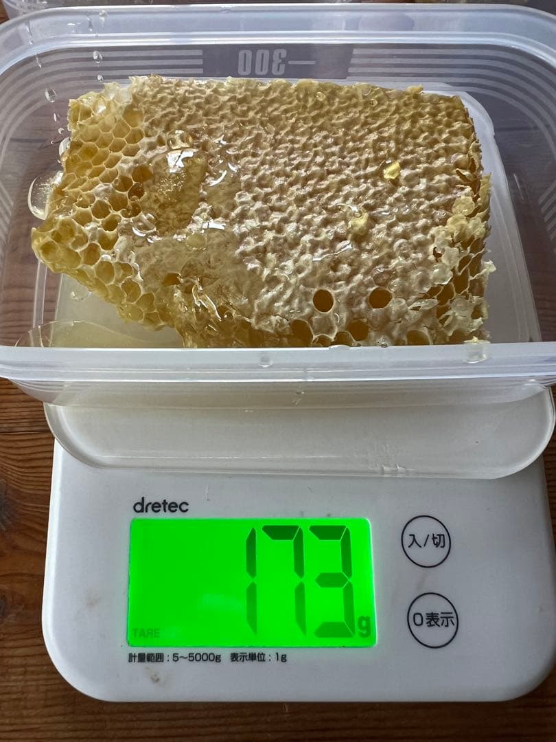 盛り上げ巣のタレ蜜　& 巣蜜173g