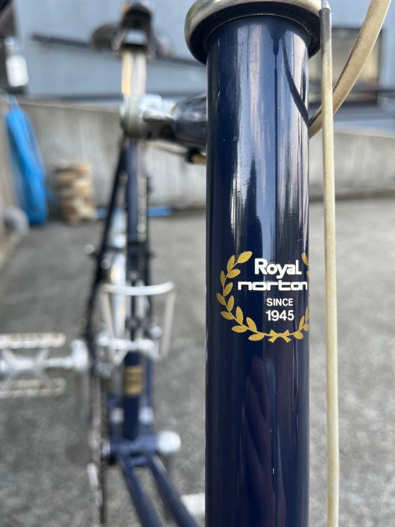 ヒカル　　　ロイヤルノートン