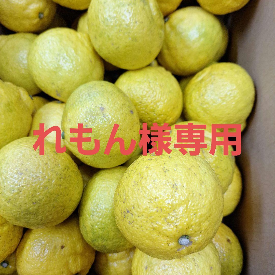 はるかみかん 2L～3L　８キロ×2箱