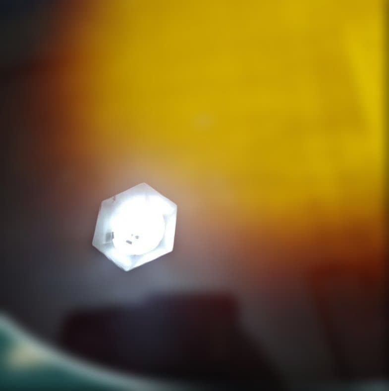 Morris MG-601 アコースティックギター サンバースト