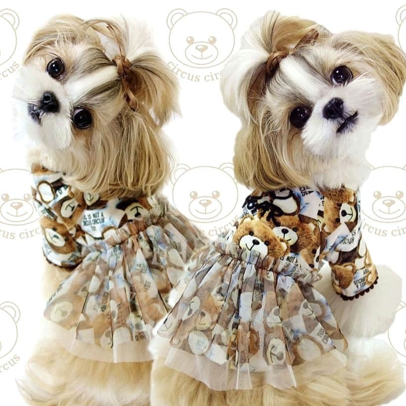 ToyBear ベスト＆room wareワンピ　サーカスサーカスcircus