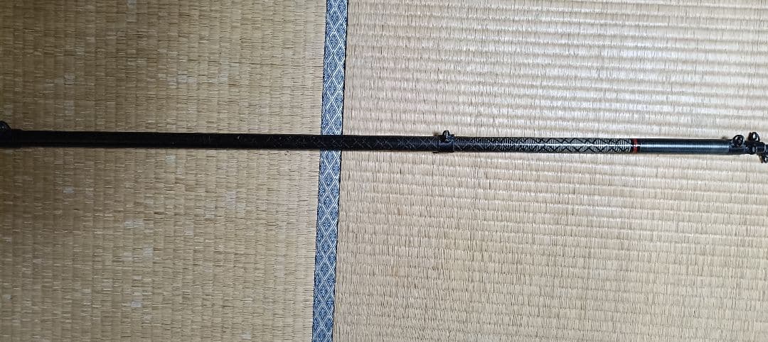 ダイワ　小笠原24号525　カーボウィスカー　石鯛　タマン　浪人鯵　スジアラ