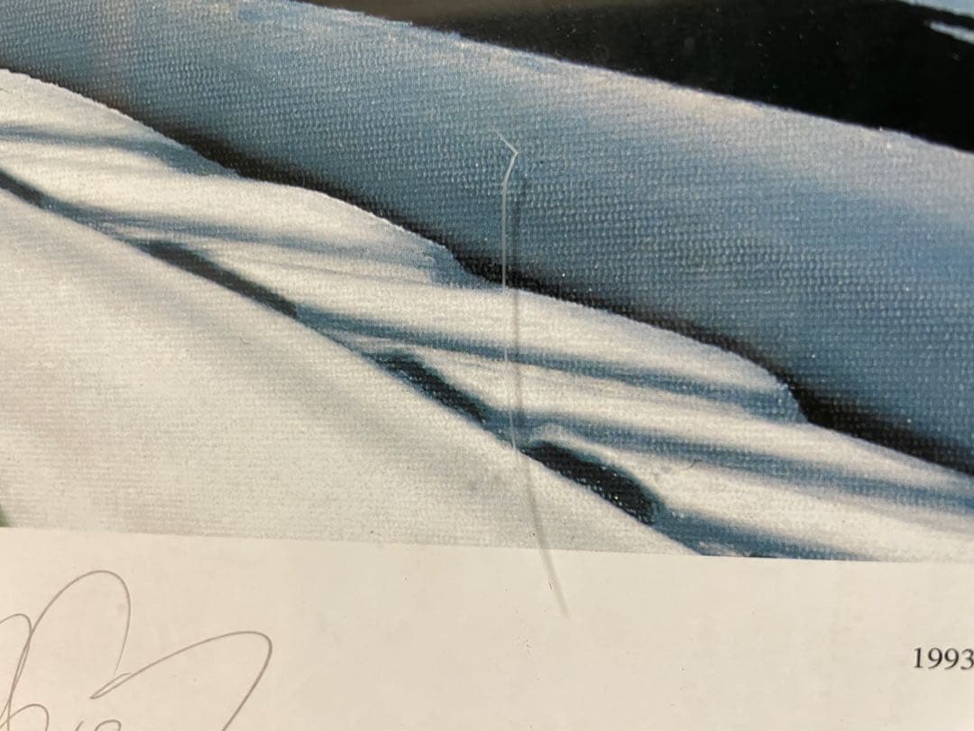 画　アイルトン・セナとアラン・プロスト　作コリン・カーター　F1レース