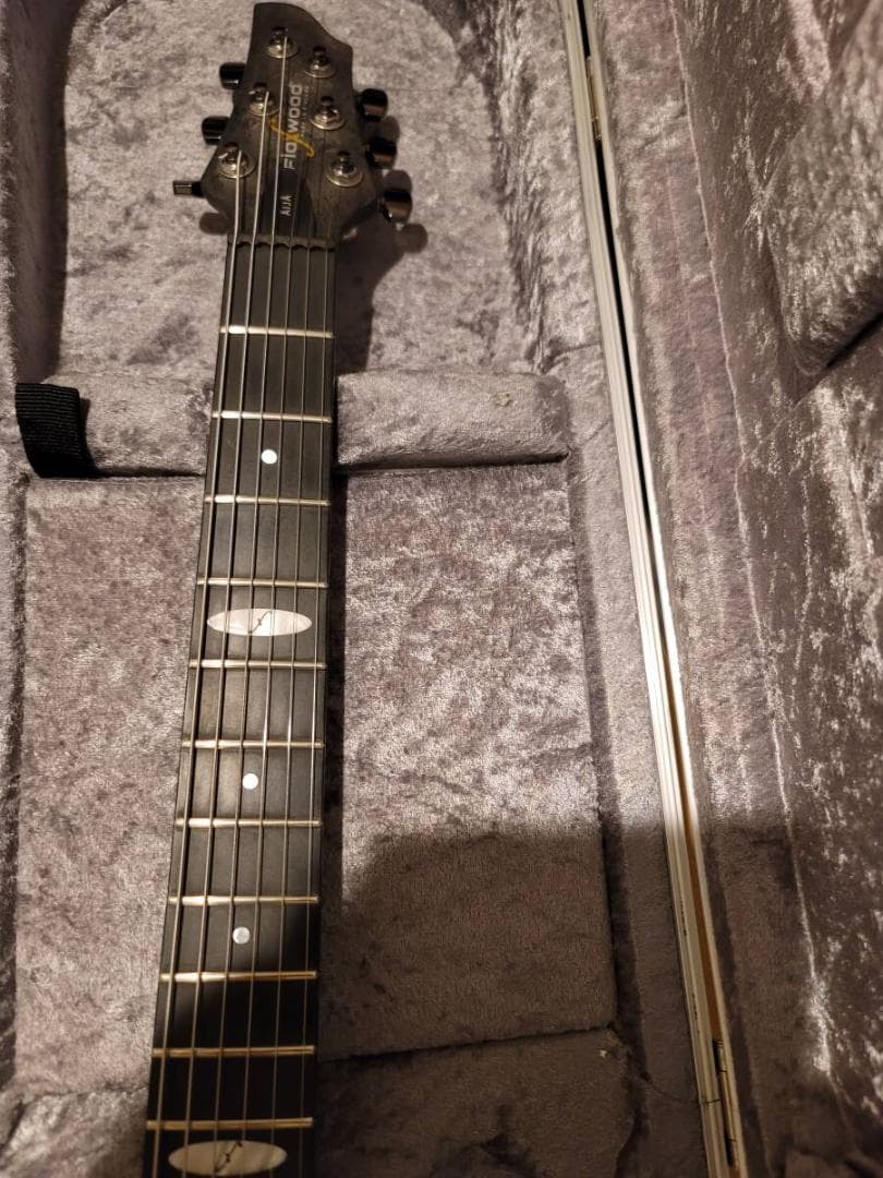 Flaxwood AIJA GK-Sustainer ギターシンセ