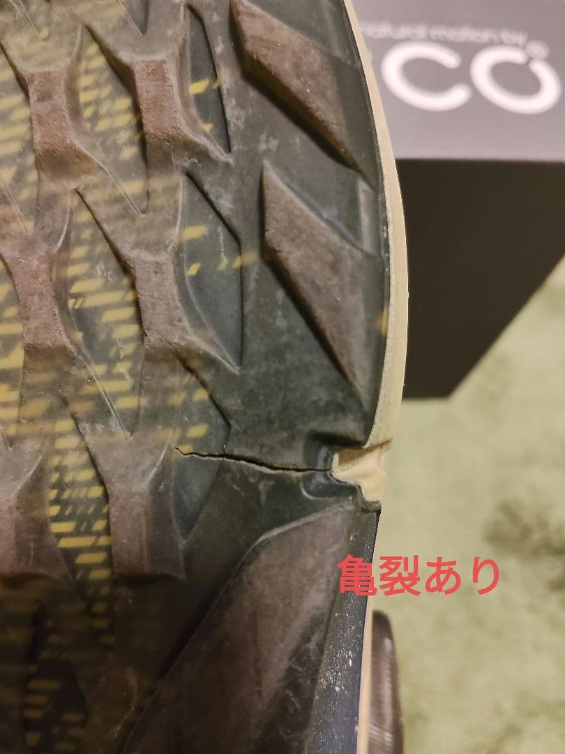 ECCO エコー ゴルフシューズ BIOM H4 BOA