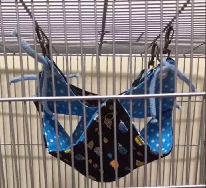 モモンガハウス（猫柄・ピンク）ボアピンク       ポーチ  2000円