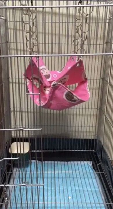 モモンガハウス（猫柄・ピンク）ボアピンク       ポーチ  2000円