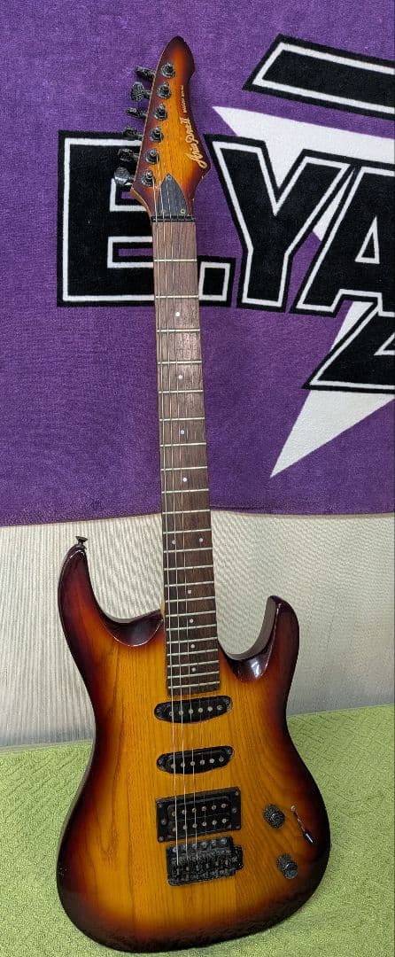 エレキギター バンド ライブ コピー