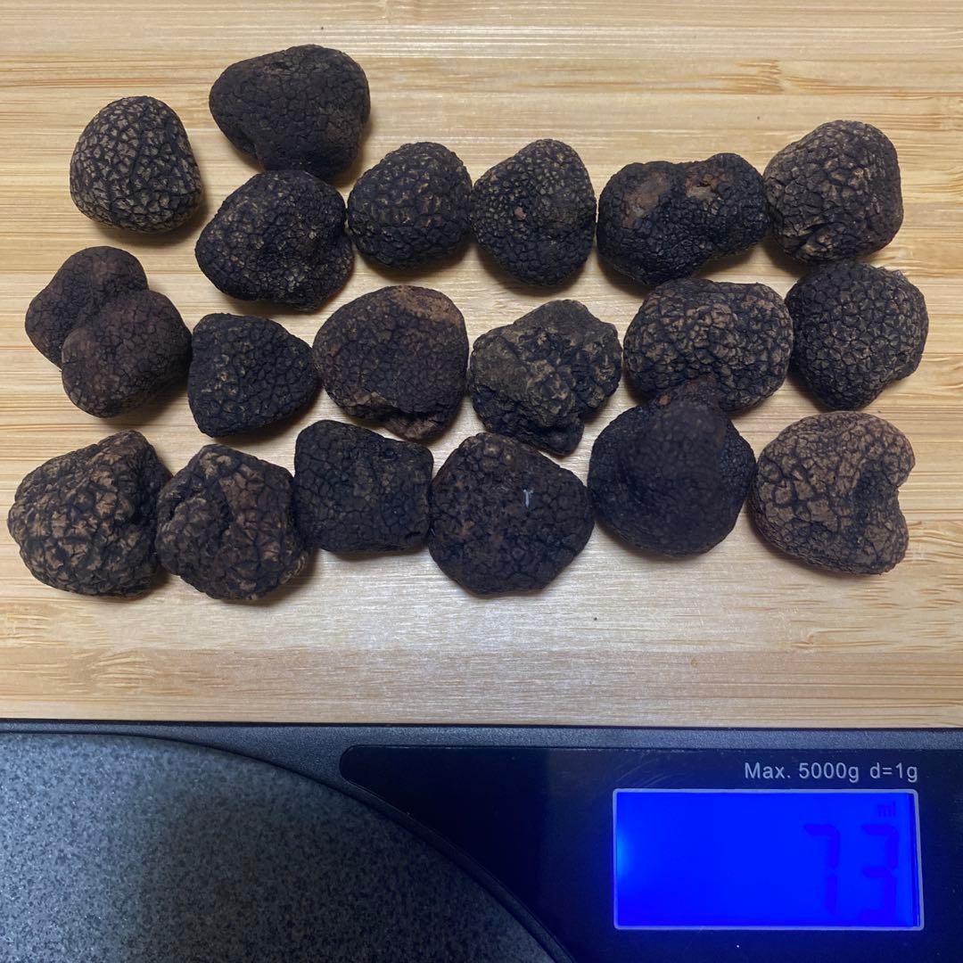 国産　山梨県産　天然黒トリュフ　小 約73g