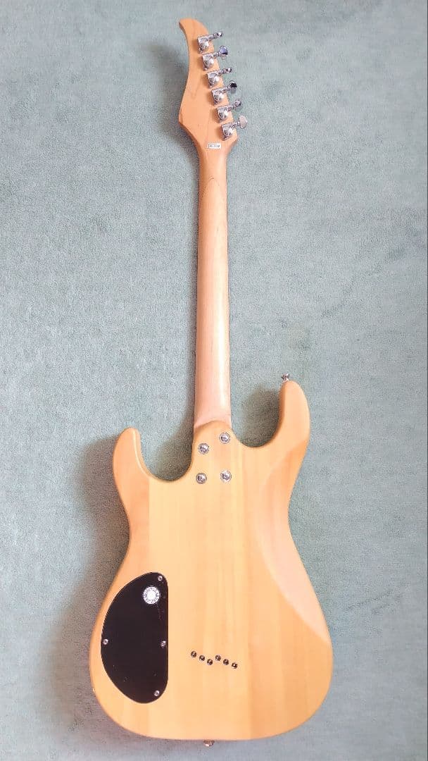 Charming Bird エレキギター CDK-A2 YMN