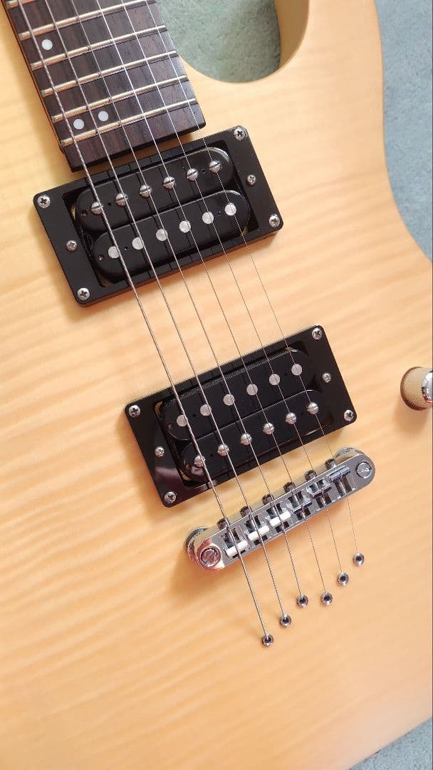 Charming Bird エレキギター CDK-A2 YMN