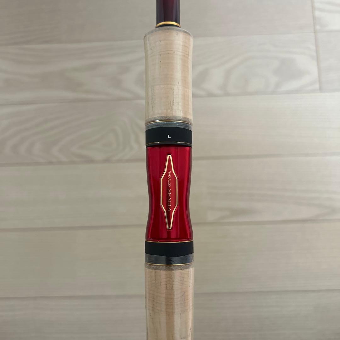 ワールドシャウラドリームツアーエディション2832rs