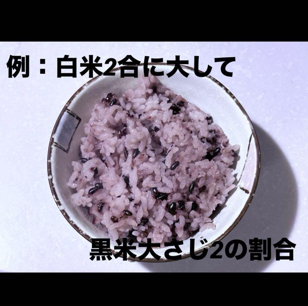 7年度愛知県産 黒米 20Kg