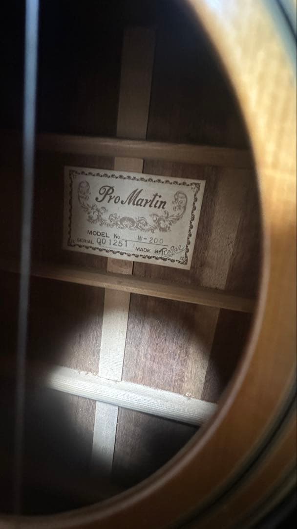 Pro Martin W‑200by ROGAR 日本製 アコースティックギター