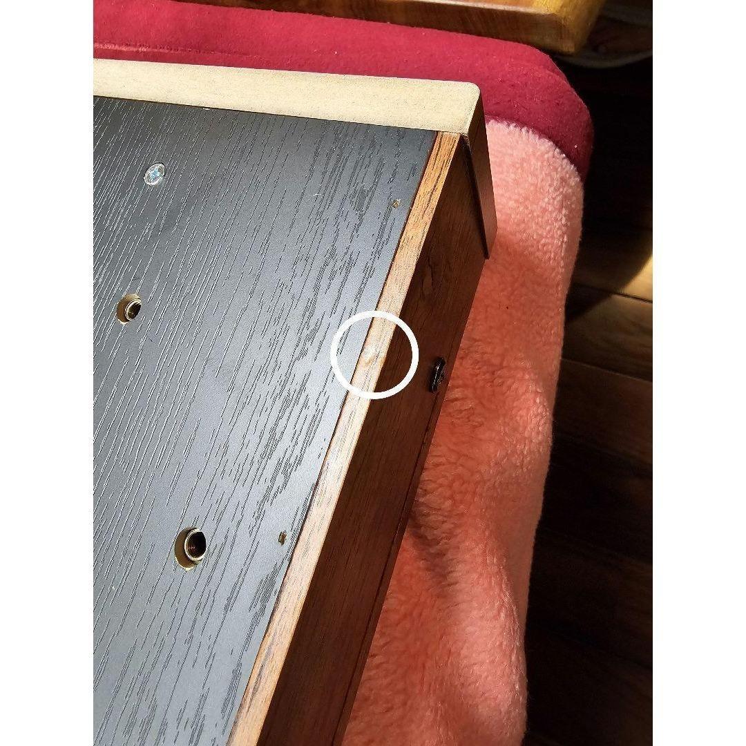 TERENCE 電子ピアノ 88鍵 カウンターウェイト鍵盤 木製 20W3ペダル