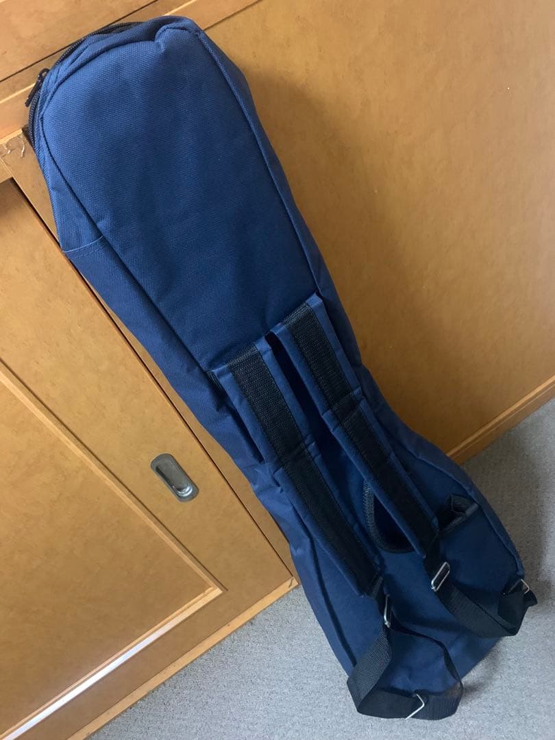 Epiphone Special Model Express エクスプレス