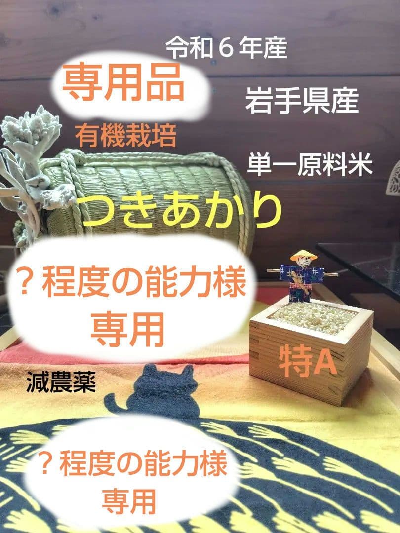 つきあかり10kg　岩手県産 令和６年産 減農薬 玄米 有機栽培