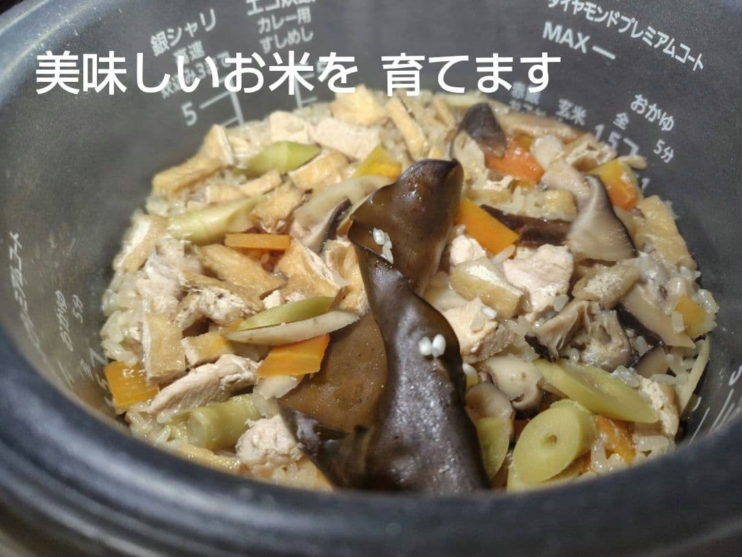 つきあかり10kg　岩手県産 令和６年産 減農薬 玄米 有機栽培