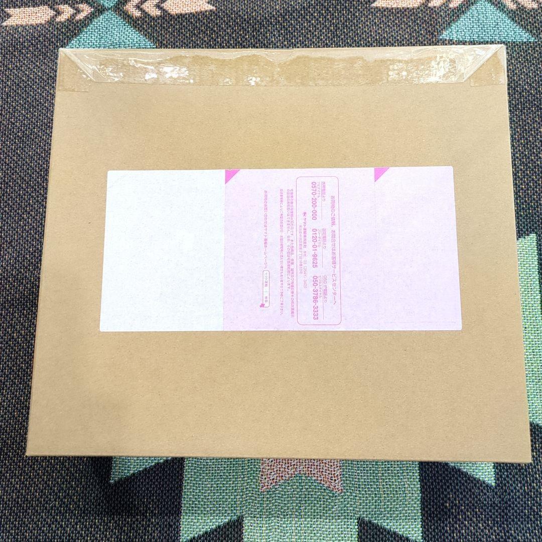 ポケモンスケールワールド カントー地方 タケシ＆イワーク