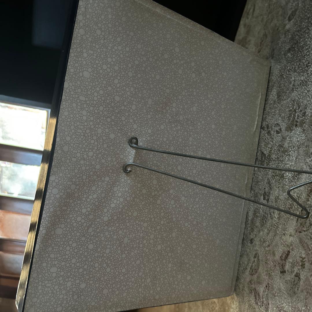 世界最大の蝶 標本 ヨナグニサン Attacus atlas 交渉可能