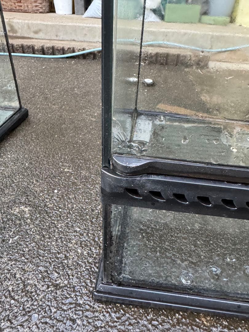 グラステラリウム　6045