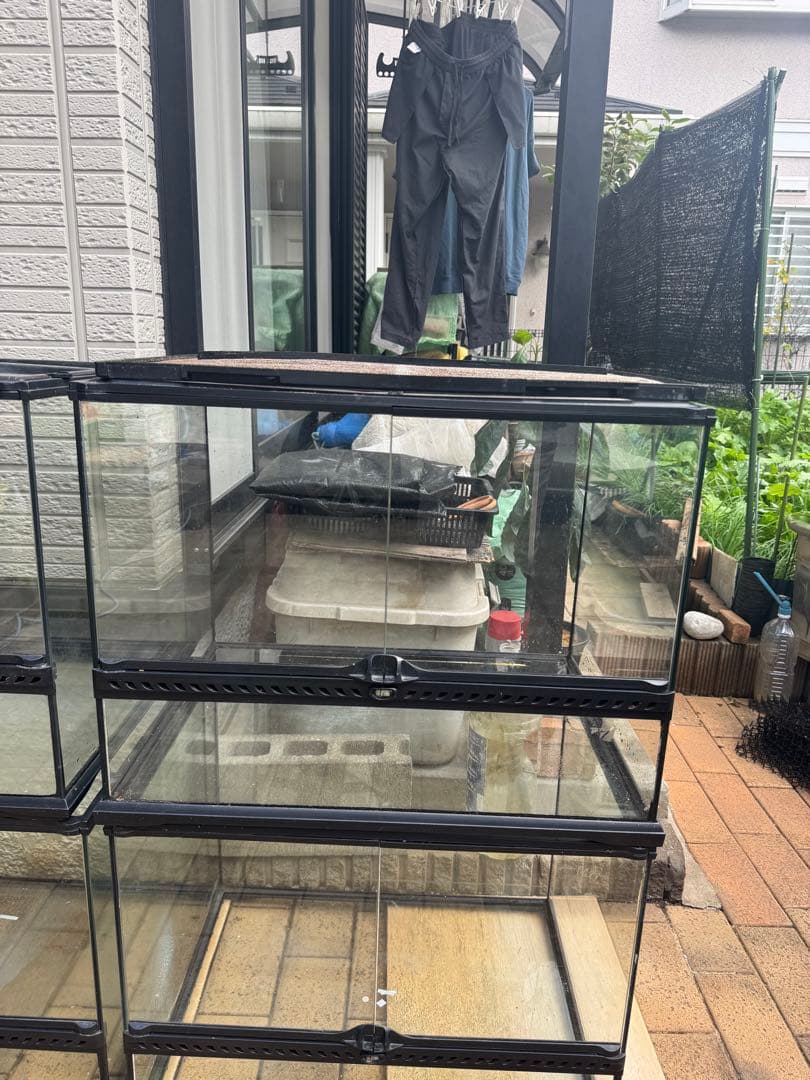 グラステラリウム　6045