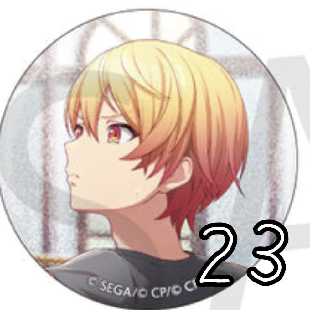 プロセカ 天馬司 缶バッジ 23点