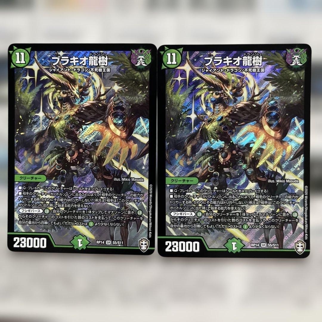 ブラキオ龍樹 ×2
