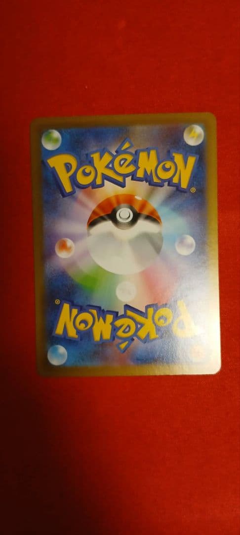 猫っ子　メガリザードンX EX　SAR ポケモンカード