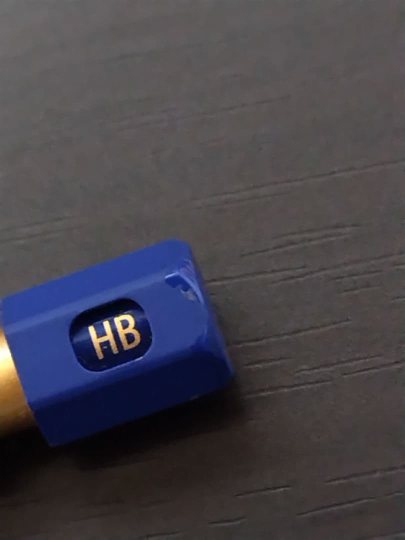 引退品 シャープペンシルまとめ売り ペンケース付き