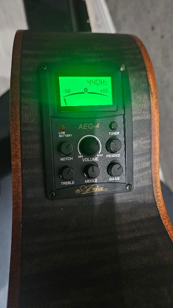 B.B Aria エレアコ FET-F2 STBK