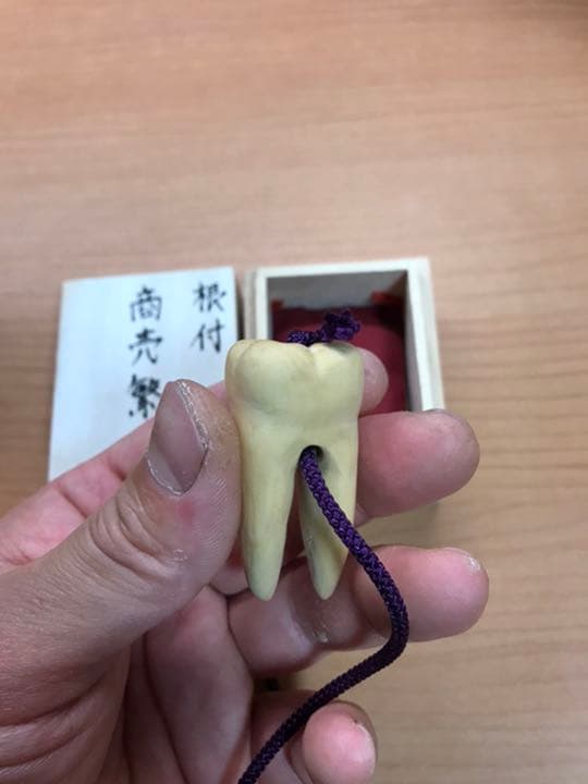 根付サンプル　虫歯　銘:貞道