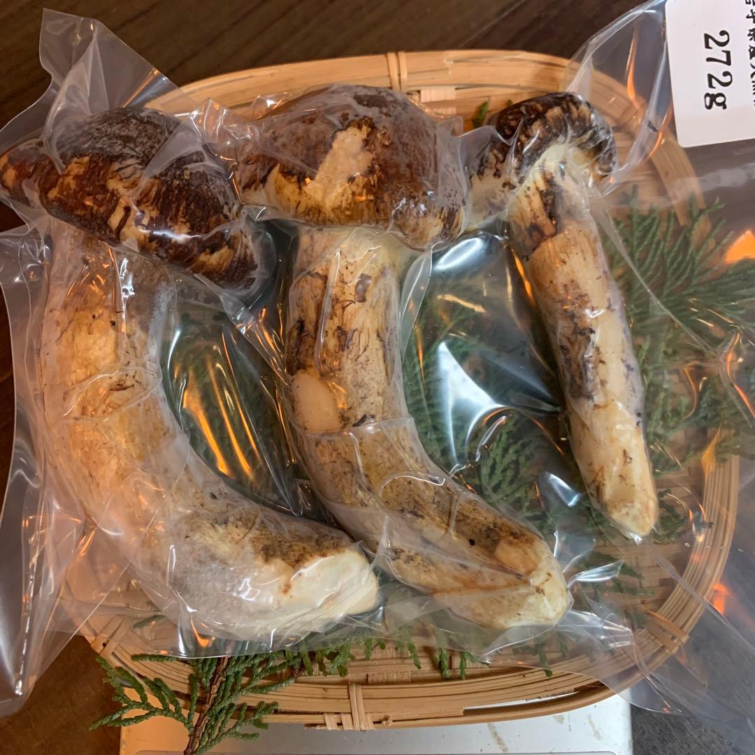 ⑤【岩手県産天然松茸】冷凍松茸　国産本場　つぼみ開き　272g