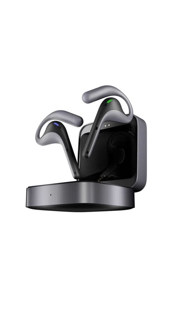 Timekettle W4 Pro 翻訳機 通訳機／オフライン対応／5年保証付き