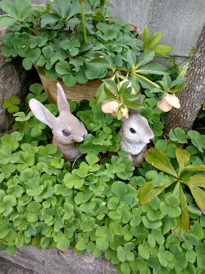 オリジナルデザイン【お店、マーク、キャラ、看板、チームロゴ等