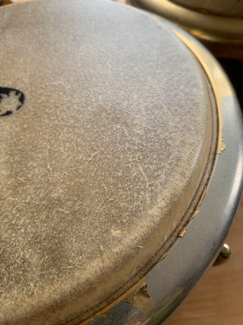 Toca トカ　ボンゴ　kaman limited 打楽器　パーカッション