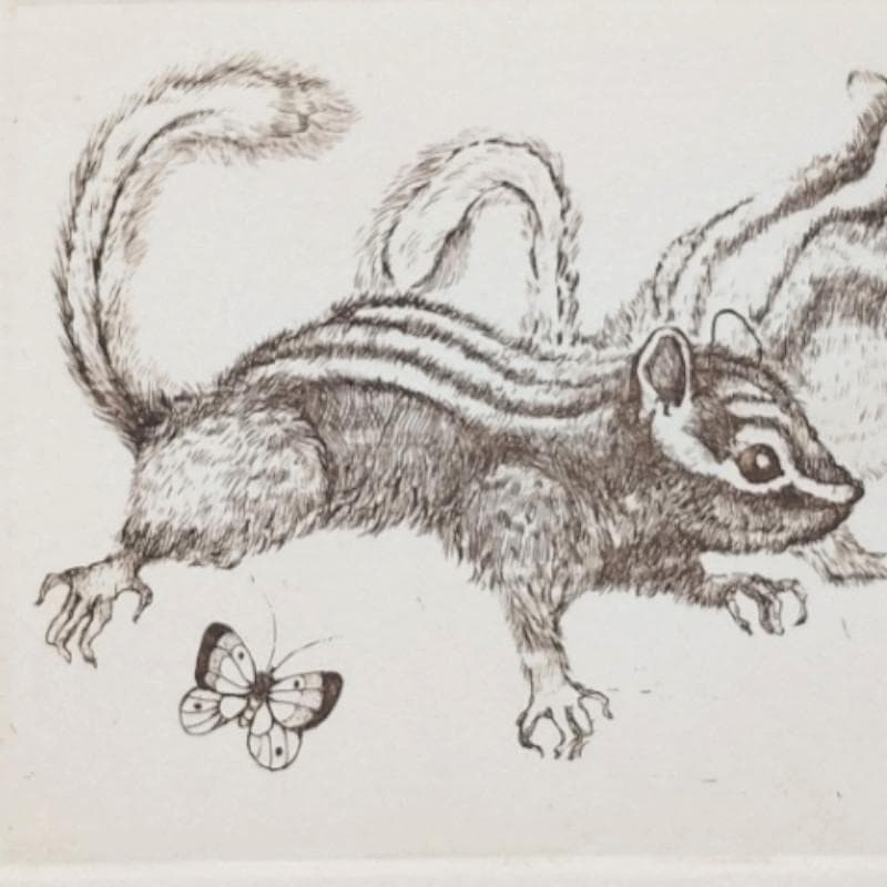 ☆丸山郁代☆「春のシマリス」DE20/150　未使用色紙額！