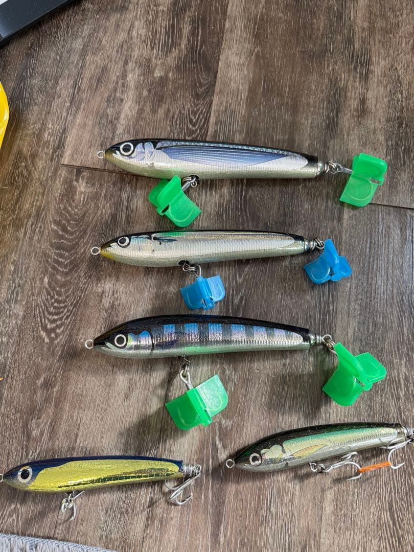 カーペンター　ガンマ　ブルーフィッシュ　マグロ