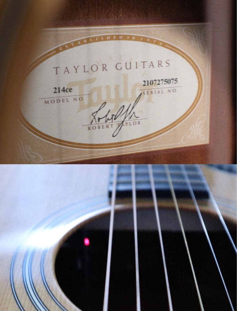 【送料込み】Taylor 214ce ES2 エレアコ 本革ストラップ ケース