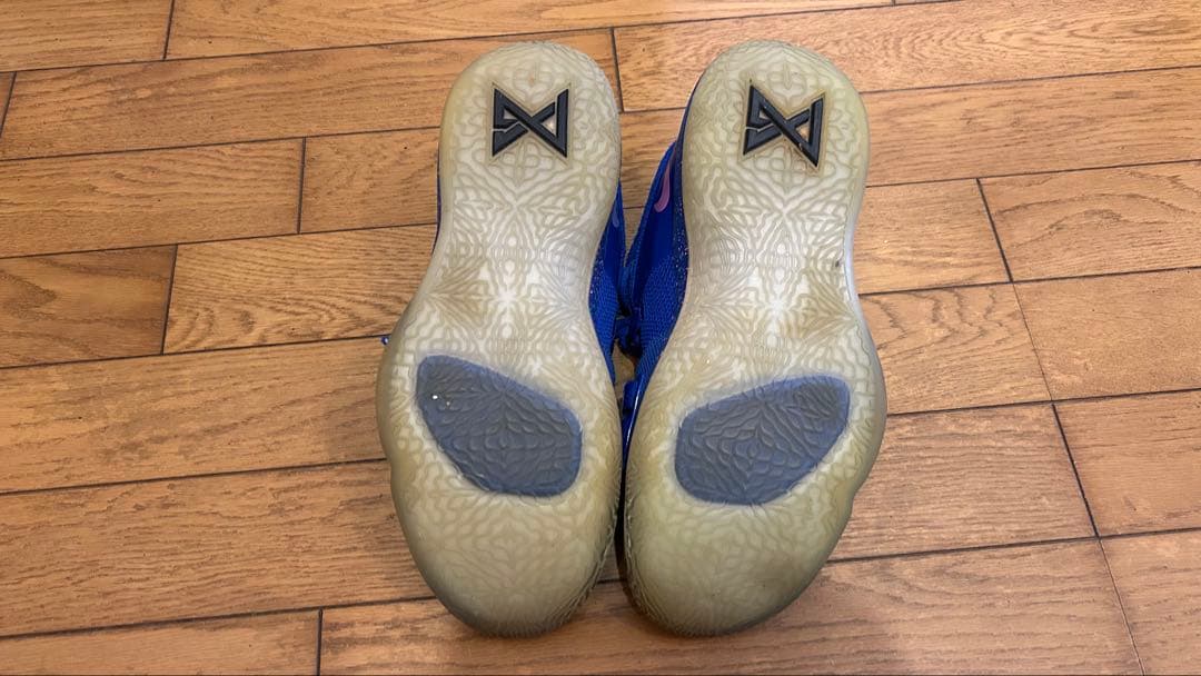 27.5cm ナイキPG2.5 プレイステーション　　PlayStation