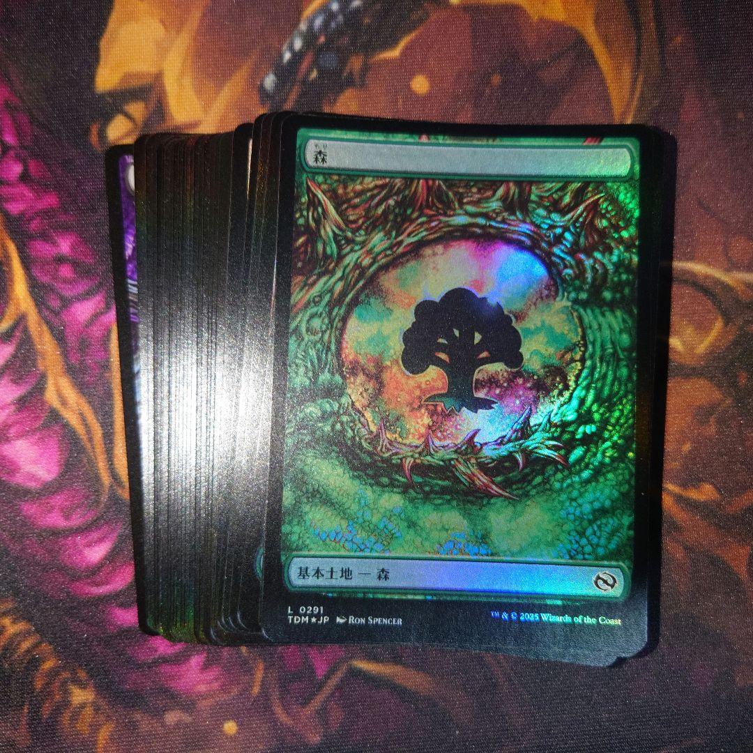 タルキール龍嵐録 基本土地