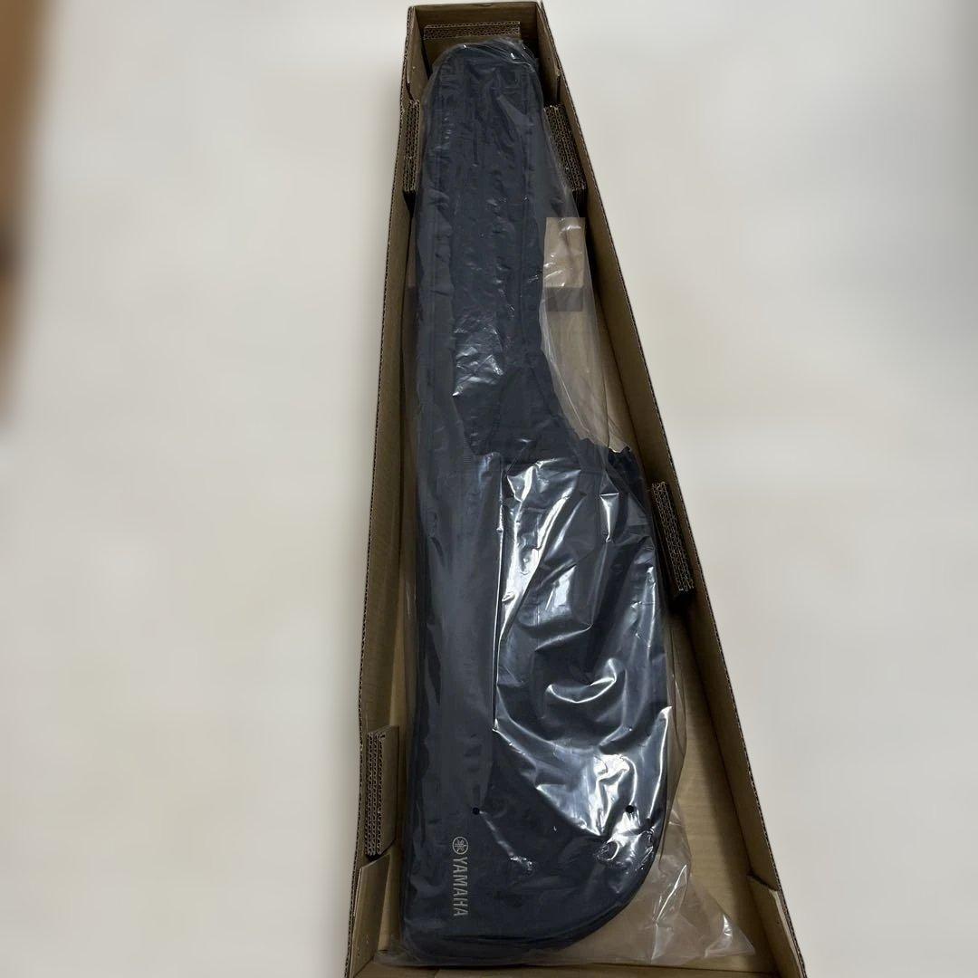 Yamaha SLG200S NT ＋Erixir弦 ＋ capo